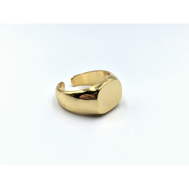 シルバーアクセサリー デザインリング カレッジリング シルバー925 16A メンズのアクセサリー(リング(指輪))の商品写真