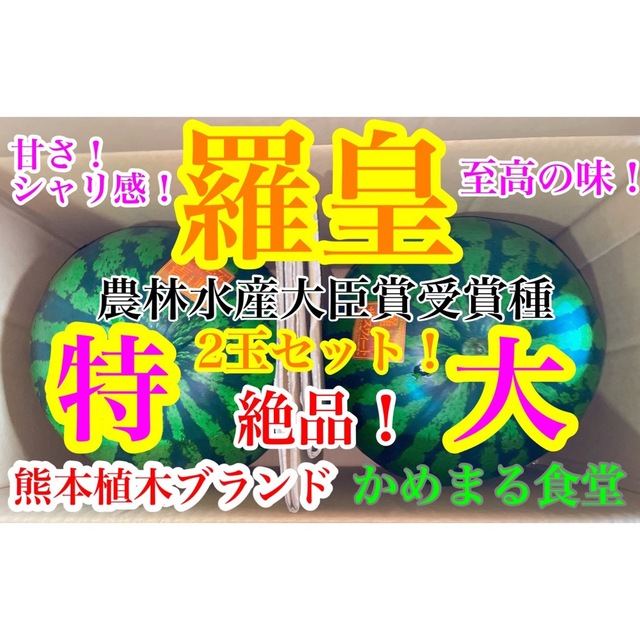 大玉スイカの最高傑作【羅皇】2玉セット！特4L19〜21kg箱込かめまる食堂フルーツ