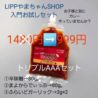 🉐入門お試しAAAセット(調味料)