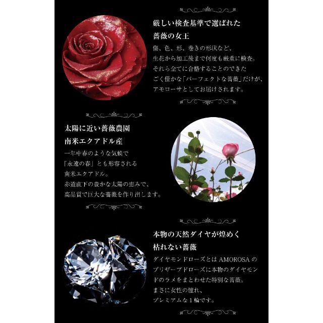 【色: アンティークレッド】シアーズ Sears 薔薇 一輪 ダイヤモンドローズ