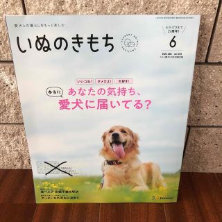 ベネッセ(Benesse)のいぬのきもち 2023.6 ※付録なし※(専門誌)