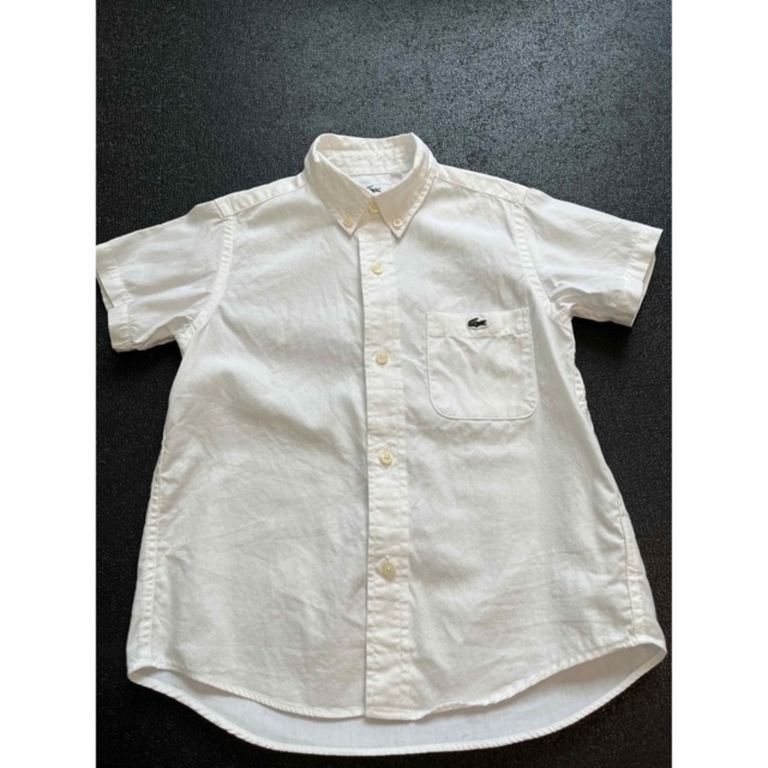 LACOSTE(ラコステ)のラコステ　100 キッズ　シャツ　半袖 キッズ/ベビー/マタニティのキッズ服男の子用(90cm~)(ブラウス)の商品写真