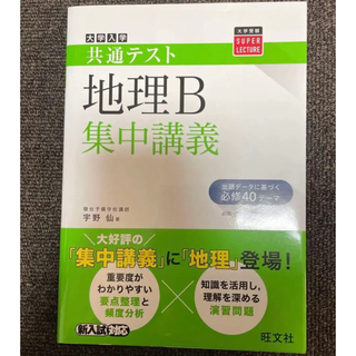 共通テスト 地理B 集中講義(語学/参考書)