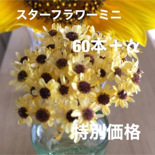 スターフラワーミニ  加工花材  ヒマワリ  60本＋α(各種パーツ)