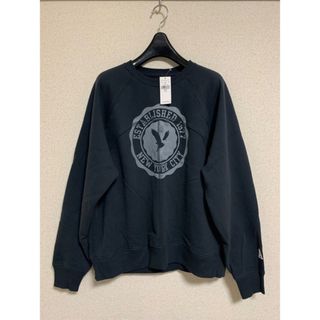 アメリカンイーグル(American Eagle)の新品タグ付きアメリカイーグルグラフィックスウェット(トレーナー/スウェット)