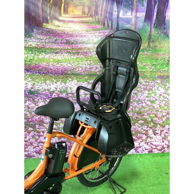 ☆5183子供乗せ電動アシスト自転車20インチ www.obgynegy.com