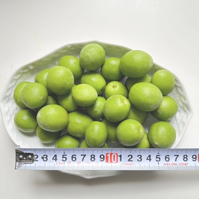 最大50%OFFクーポン 無農薬 青梅 1kg弱 千葉県産 kolleksjonssalg.no