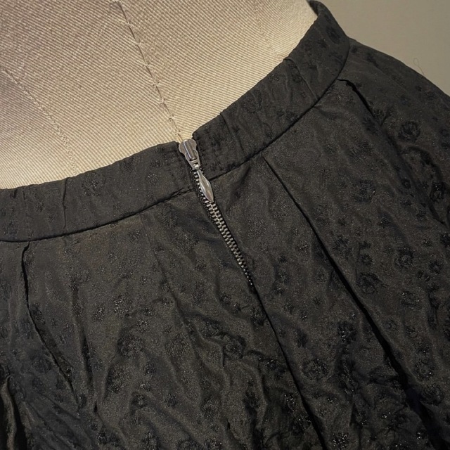 シーニュ　cygne  ジャガードボリュームスカート　0 レディースのスカート(ロングスカート)の商品写真