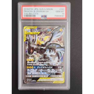 ポケモン(ポケモン)のPSA10 ピカチュウ&ゼクロムGX SA 101/095 <P1165>(シングルカード)