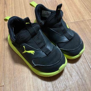 プーマ(PUMA)のプーマ シューズ 子供用 15cm(スニーカー)