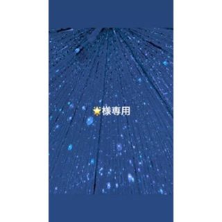 専用(アート/エンタメ/ホビー)