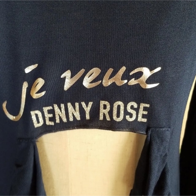 DENNYROSE(デニーローズ)のDENNY ROSE カットソー　ロング　後ろ空き レディースのトップス(カットソー(長袖/七分))の商品写真