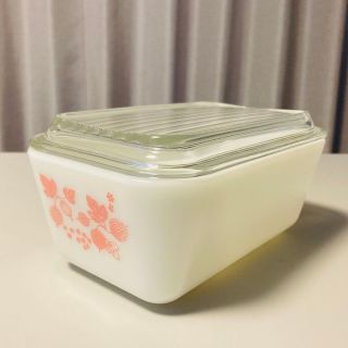 パイレックス(Pyrex)のパイレックス グーズベリー レフリジレーターM(食器)