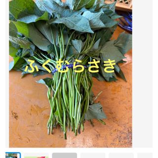 ふく紫芋苗50本(野菜)