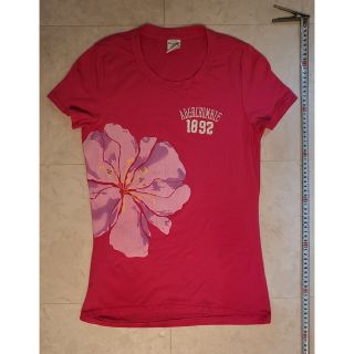 アバクロンビーアンドフィッチ(Abercrombie&Fitch)のAbercrombie & Fitch アバクロ　Tシャツ Lサイズ(Tシャツ(半袖/袖なし))