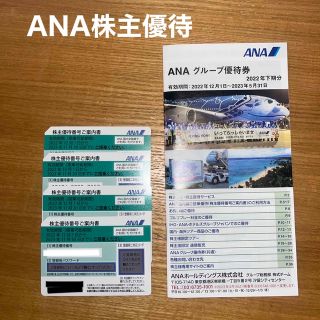 エーエヌエー(ゼンニッポンクウユ)(ANA(全日本空輸))の【未使用】ANA株主優待券(その他)