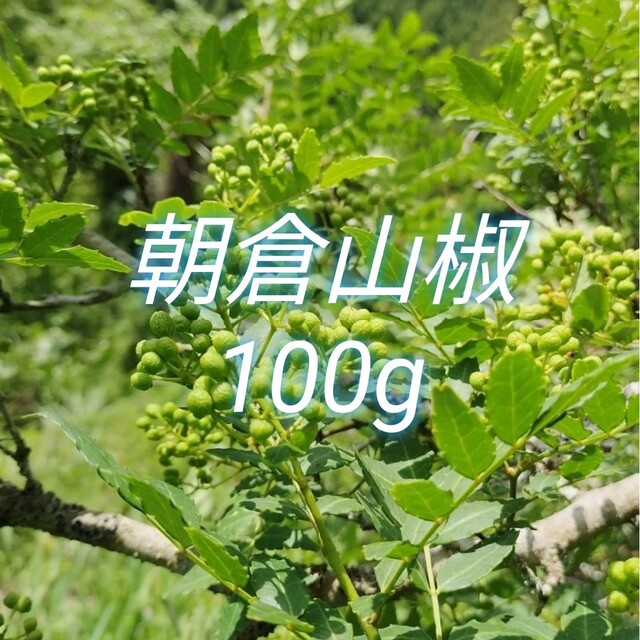 山椒の実 100g 大分県産 農薬不使用 青山椒の通販 by がお's shop｜ラクマ