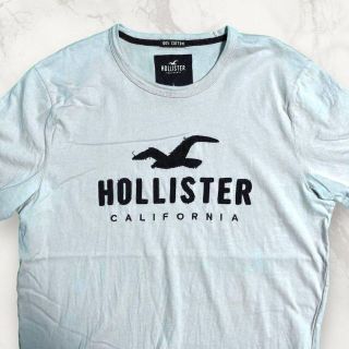 HEY HOLLISTER 古着   水色 ホリスター　ロゴ　刺繍 Tシャツ(Tシャツ/カットソー(半袖/袖なし))