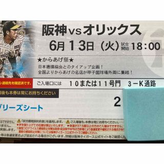 ハンシンタイガース(阪神タイガース)の6/13(火 )阪神-オリックス　ブリーズシート通路横ペア (野球)