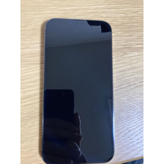 iPhone 13 Pro Max グラファイト 1024 GB SIMフリー iPhone 13 Pro Max グラファイト 1024 GB SIMフリー