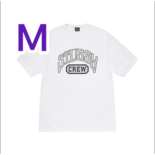 sttusy crew tee ステューシー　半袖　holiday22