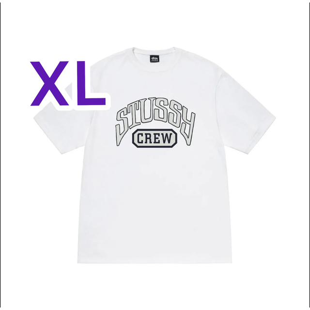 sttusy crew tee ステューシー　半袖　holiday22