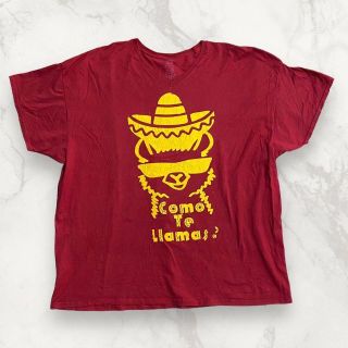 HCU FRUIT 古着   赤 メキシコ　ラマ　リアマス　アニマル Tシャツ(Tシャツ/カットソー(半袖/袖なし))