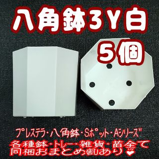 《3Y》カネヤ 八角鉢 白 5個 プラ鉢 多肉植物 プレステラ(プランター)