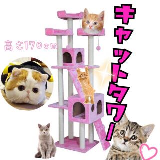 キャットタワー 猫タワー ワイド170cm ファニチャー 置き型 新品ピンク(猫)