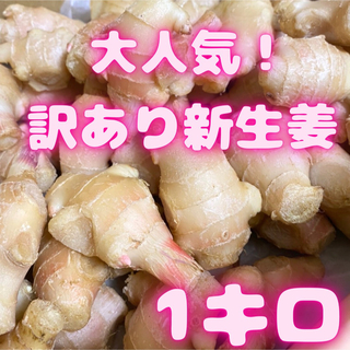 ‼️数量限定‼️大人気の新生姜　1キロ　01(野菜)