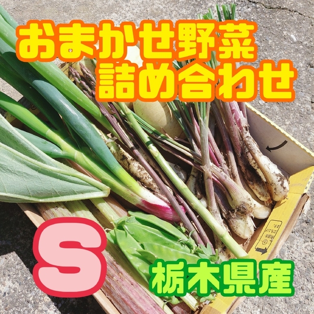 おまかせ野菜詰め合わせBOX【S】 食品/飲料/酒の食品(野菜)の商品写真