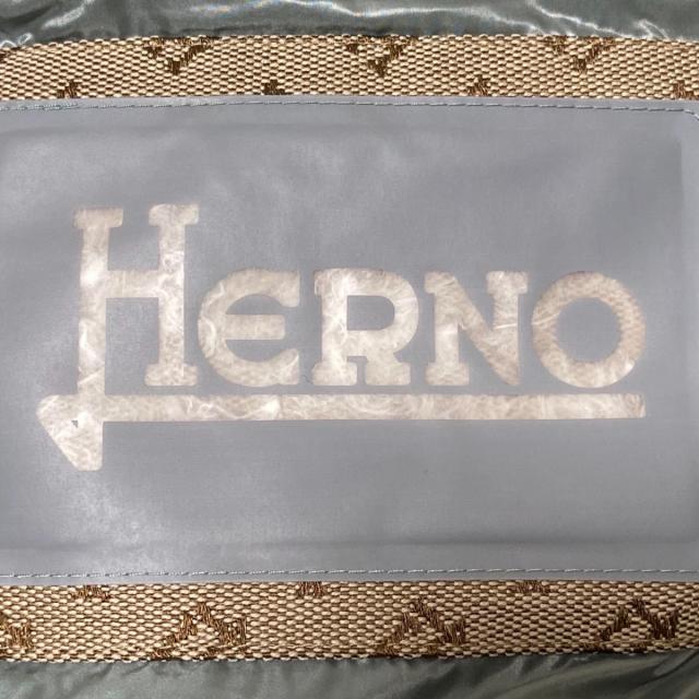 HERNO(ヘルノ)のヘルノ ダウンジャケット サイズ40 M美品  レディースのジャケット/アウター(ダウンジャケット)の商品写真