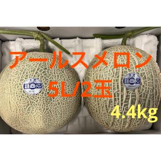 アールスメロン　5L  2玉(フルーツ)
