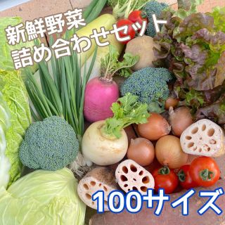 【新鮮！美味しい！】季節の採れたて野菜 詰め合わせセット 100サイズ(野菜)