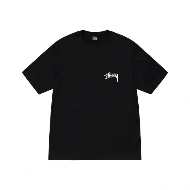 STUSSY - stussy BURNING STOCK TEE 半袖 Tシャツ ステューシーの通販 ...