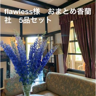 コウランシャ(香蘭社)のflawless様　おまとめ香蘭社　5品セット(食器)