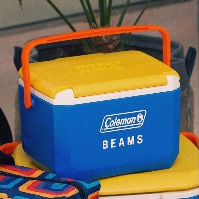 Coleman(コールマン)のColeman BEAMS / 別注 テイク6 クーラー ボックス　新品未使用 スポーツ/アウトドアのアウトドア(その他)の商品写真