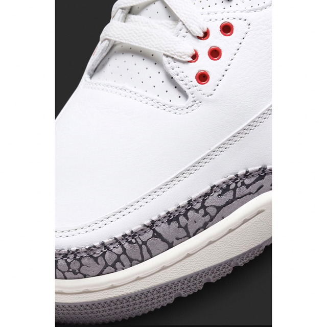 Nike Air Jordan 3 Retro 26.5cm 2