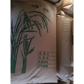 農家直送　餅米もちみのり10kg精米送料無料(米/穀物)