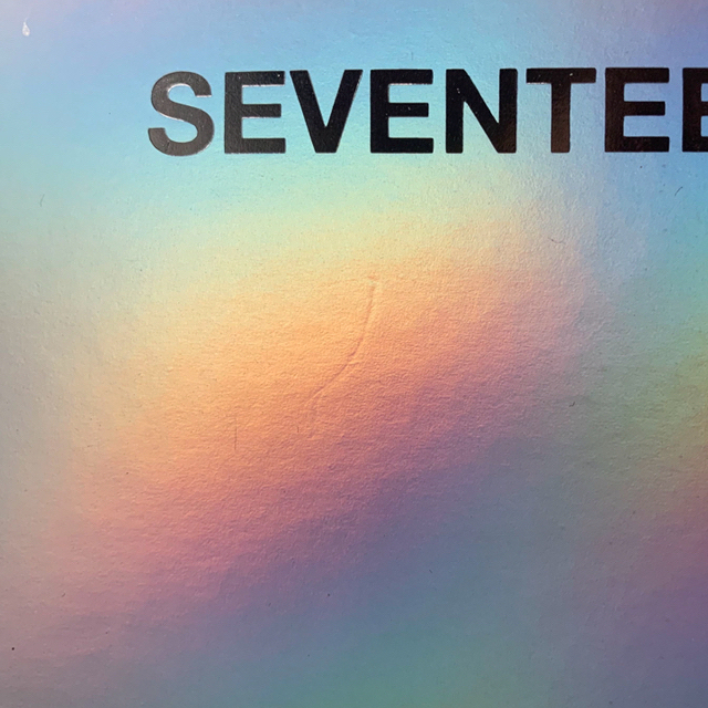 SEVENTEEN ペンライト ver2