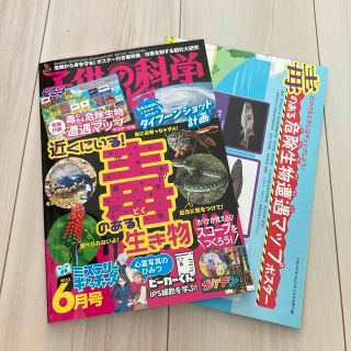 子供の科学 2023年 06月号(絵本/児童書)