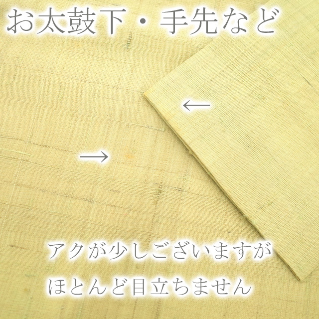 すごい値！名古屋帯 九寸 正絹 極上 手描き 手織り 生紬 くすみ淡黄緑 カトレア 花 お太鼓柄  仕立て上がり みやがわ neb00596レディース