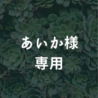 あいか様専用　多肉植物カット苗40種セット(その他)