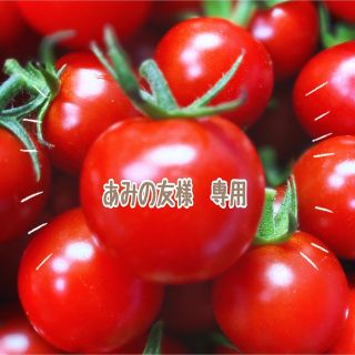 ミニトマト　３ｋｇ(野菜)