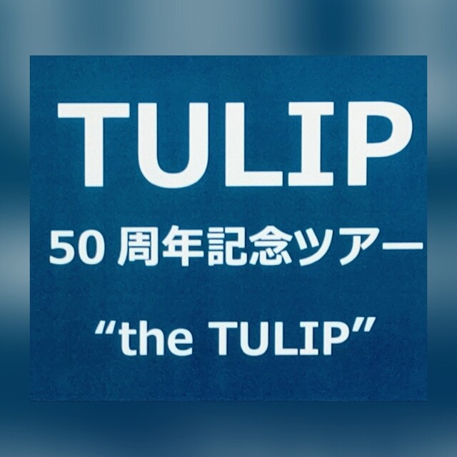 チケットTulip50周年記念ツアーチケット１枚