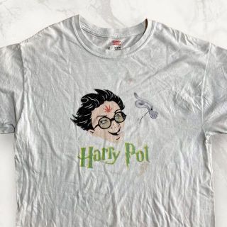 HAJ Hanes 古着  　Harry Pot ガンジャ　煙草 Tシャツ(Tシャツ/カットソー(半袖/袖なし))