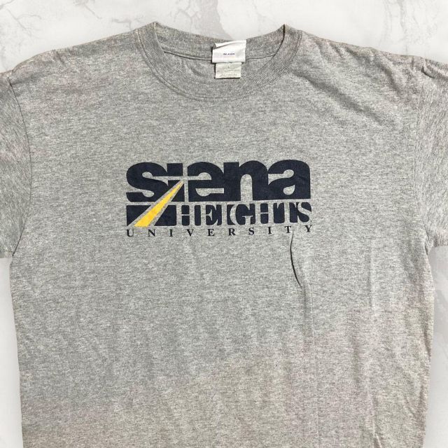 HAA Champion グレー チャンピオン　シエナ　大学　カレッジ Tシャツ メンズのトップス(Tシャツ/カットソー(半袖/袖なし))の商品写真