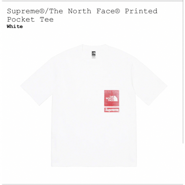 Supreme North Face Printed Tee White S