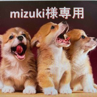 Mizuki様専用(財布)