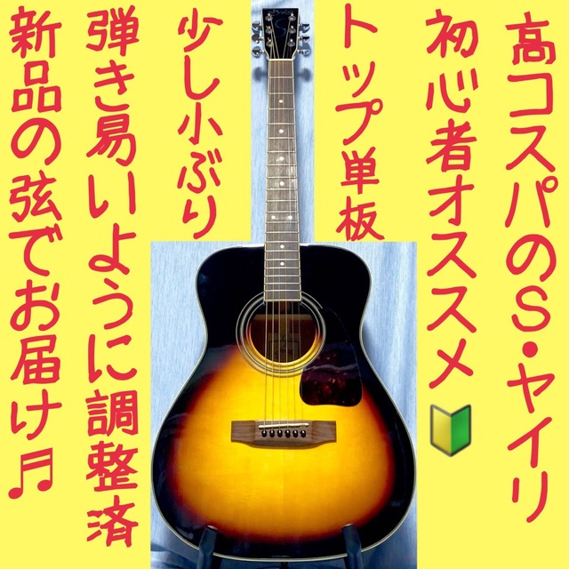 メーカー直売 モーリス WS-30E アコギ motorenag.de